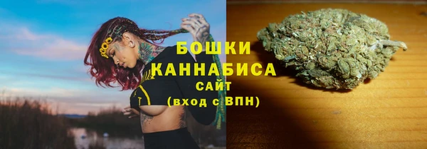 крисы Богданович