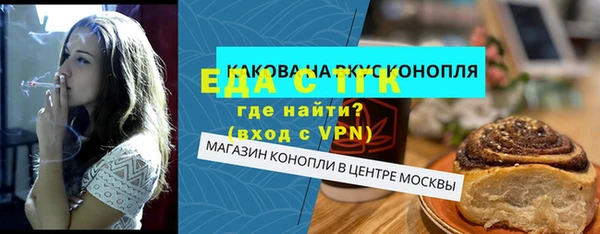 дмт Бородино