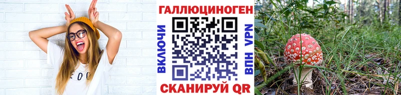 Псилоцибиновые грибы Psilocybe  мега вход  Фролово 